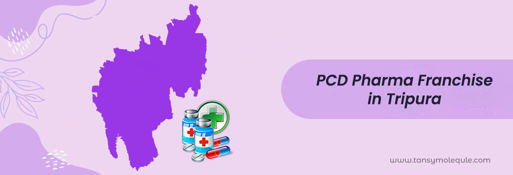 PCD Pharma Franchise in Tripura 